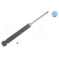 Meyle Ammortiz Post Vw Eos 1267250033
