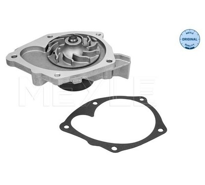 Meyle Pompa Aqua Opel-Renault Clio 1,9 D 16-132200004