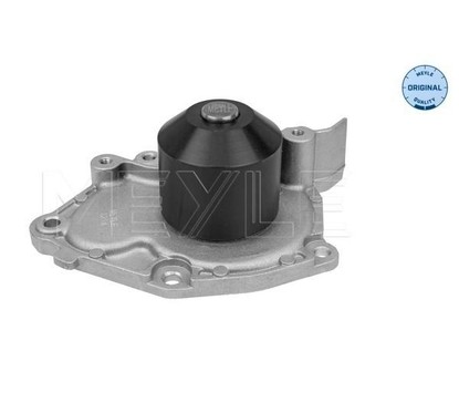 Meyle Pompa Aqua Opel-Renault Clio 1,9 D 16-132200004