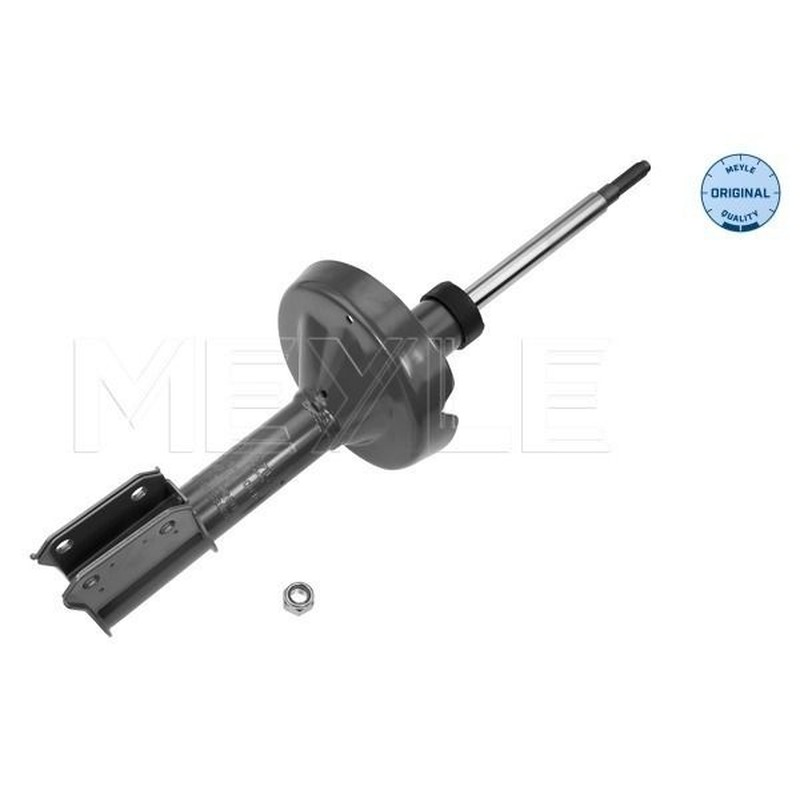Meyle Ammort Ant Re Clio Ii 16-266230010