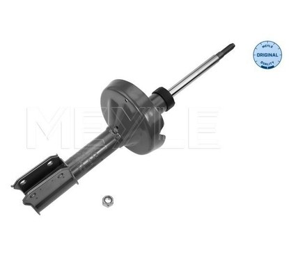 Meyle Ammort Ant Re Clio Ii 16-266230010 per ripristinare il corretto funzionamento del componente