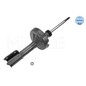 Meyle Ammort Ant Re Clio Ii 16-266230010