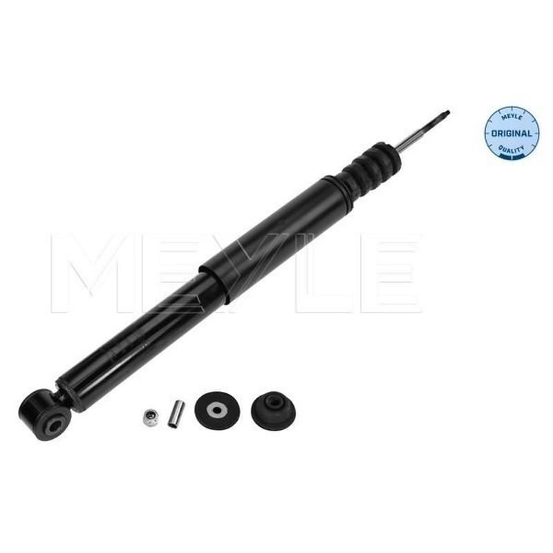 Meyle Ammort Post Re Clio Iii 16-267250009