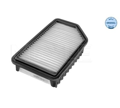 Meyle Air Filter 28-123210013 per ripristinare il corretto funzionamento del componente