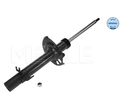 Meyle Ammortiz Ant Dx Ci C1 -Ty Aigo 40-266230011 per ripristinare il corretto funzionamento del componente