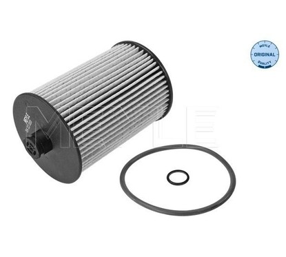 Meyle Fuel Filter 5143230008 per ripristinare il corretto funzionamento del componente