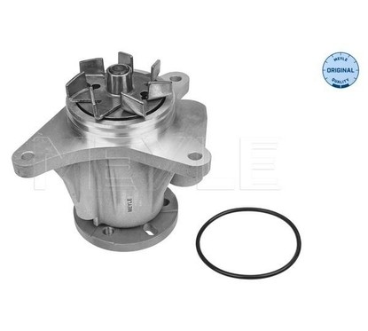 Meyle Water Pump 53-132200007 per ripristinare il corretto funzionamento del componente