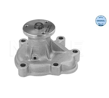 Meyle Pompa Acqua Op Astra G /H 1,7 Cdti 6132200012