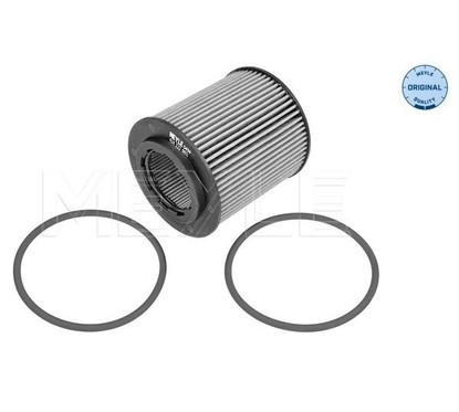 Meyle Oil Filter 6143220011 per ripristinare il corretto funzionamento del componente