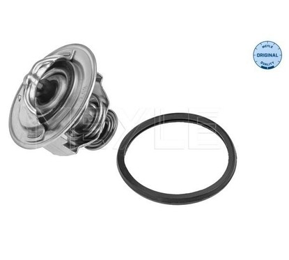 Meyle Thermostat 6282280001 per ripristinare il corretto funzionamento del componente