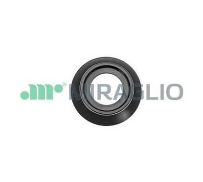 MIRAGLIO Maniglia portiera, Equipaggiamento interno 110/16