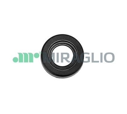 MIRAGLIO Maniglia portiera, Equipaggiamento interno 110/32