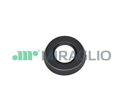MIRAGLIO Maniglia portiera, Equipaggiamento interno 110/34