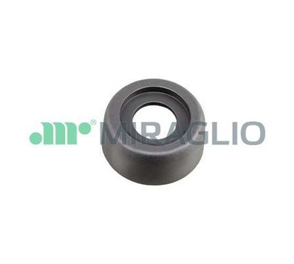 MIRAGLIO Maniglia portiera, Equipaggiamento interno 110/91