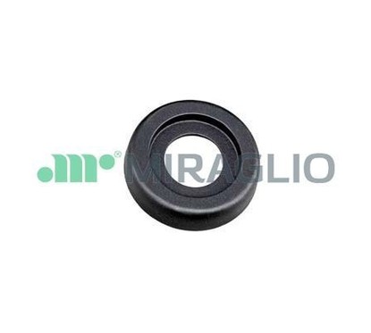MIRAGLIO Maniglia portiera, Equipaggiamento interno 110/92