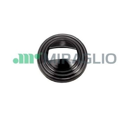 MIRAGLIO Maniglia portiera, Equipaggiamento interno 60/19