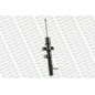 Monroe Ford Focus (Daw, Dbw) Focus Tre Volumi (Dfw) Focus 16283