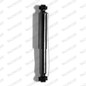 Monroe CitroeN C2 C3 Rinforzato 23985