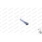 Monroe Amm. Post. Dacia Sandero 23991
