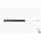 MONROE Ammortizzatore 376248SP
