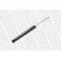 Monroe Smart Fortwo Posteriore 43133