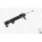 MONROE Ammortizzatore C2508R