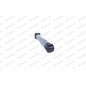 Monroe Amm. Post. Renault Kangoo 08 G1105