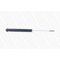 Monroe Ex 21659 - Hyundai Getz (Tb) G21659