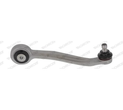 Monroe Snodo Assiale Renault L10206
