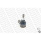 Monroe Testa Sterzo Iveco L1501