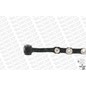 Monroe Braccio Fiat L1572