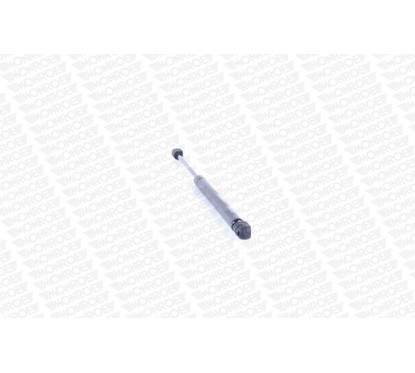 Monroe Ammortizzatori Portellone Ml5079