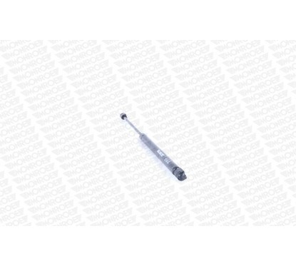 Monroe Ammortizzatori Portellone Ml5119