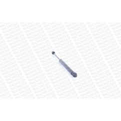 Monroe Ammortizzatori Portellone Ml5165