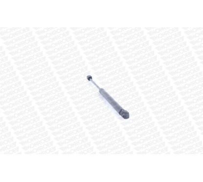 Monroe Ammortizzatori Portellone Ml5165