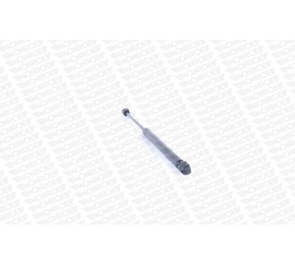 Monroe Ammortizzatori Portellone Ml5406