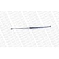 Monroe Ammortizzatori Portellone Ml5775