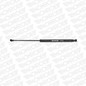 Monroe Ammortizzatori Portellone Ml6173