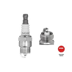 Ngk 5950 - Bpm6F per ripristinare il corretto funzionamento del componente