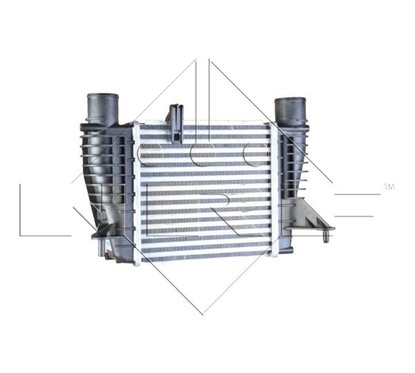Nrf Intercooler Renault 30866 per ripristinare il corretto funzionamento del componente