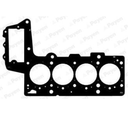 Payen Bmw 3 (E46) 3 Compact (E46) 3 Cabriolet (E46) 3 To Ac5421 per ripristinare il corretto funzionamento del componente