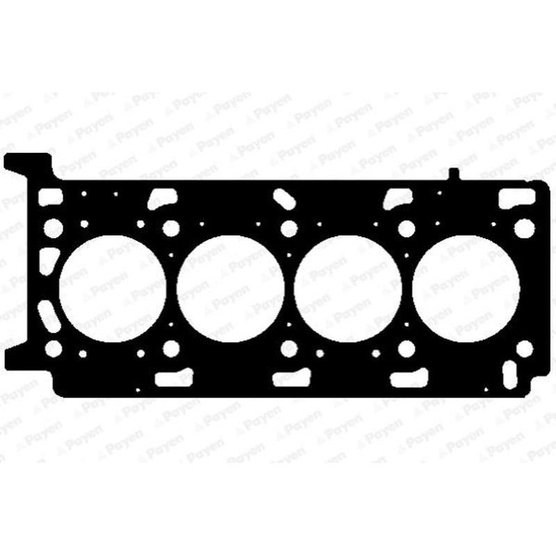 Payen Gtc Renault Ag9760