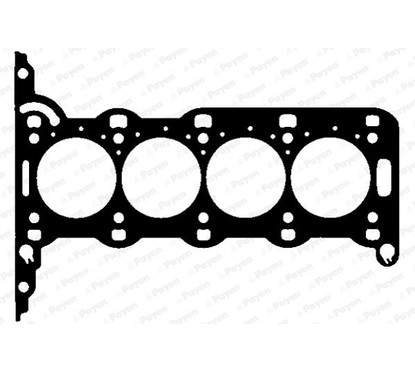 Payen Guarnizione Testa Cilindro Opel Ah5030