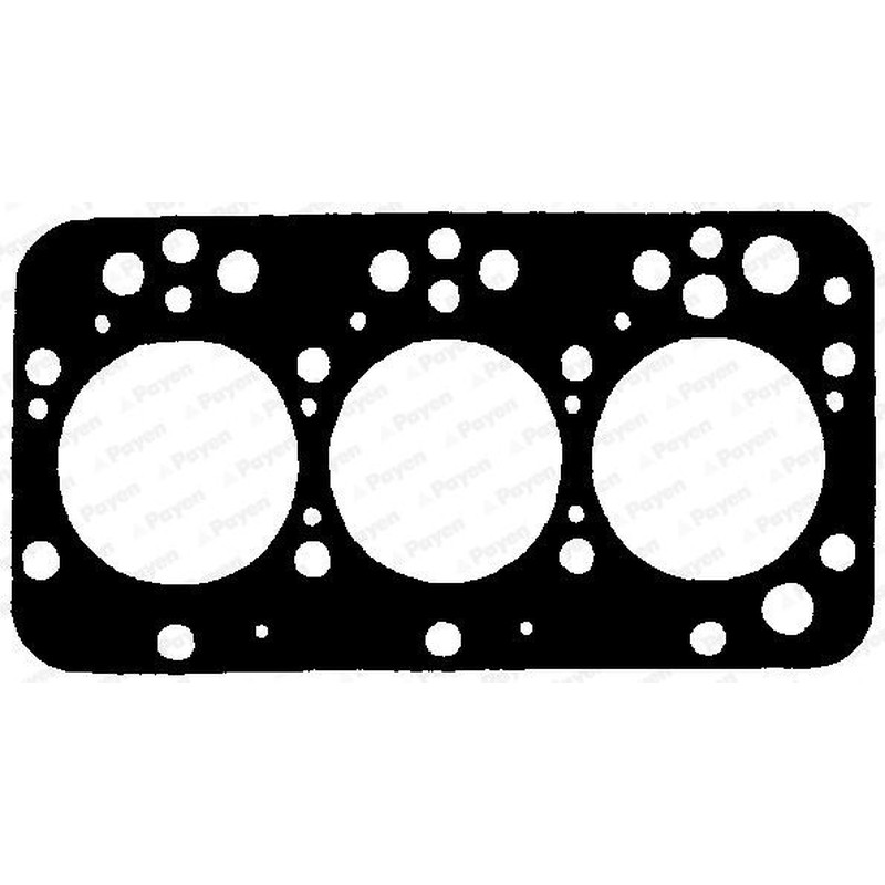 Payen Testa Cil. Fiatagri Bp460 Payen Testa Cil. Fiatagri Bp460