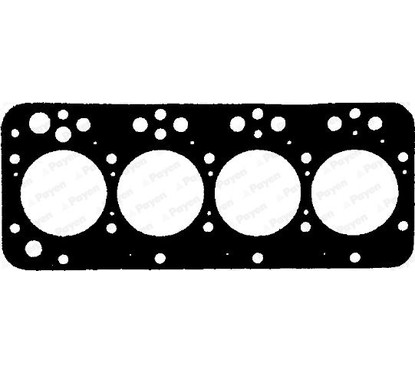 Payen Tc.Iveco/50.8-55.8-60.8 Bv520 per ripristinare il corretto funzionamento del componente