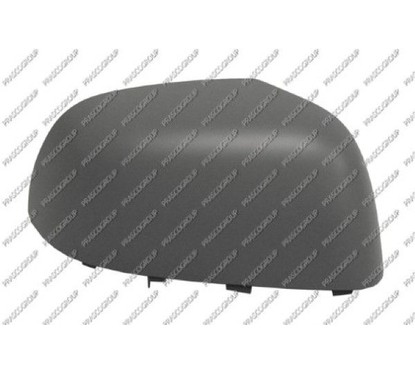 PRASCO Copertura, Specchio esterno DS0147413