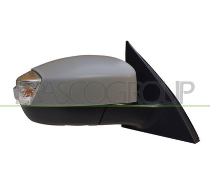 PRASCO Specchio retrovisore esterno FD7307373