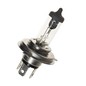 PRASCO Fendinebbia FD7501233