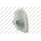 PRASCO Indicatore direzione FT0204013