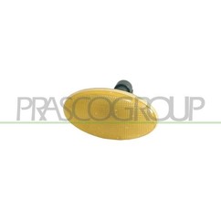 PRASCO Indicatore direzione FT1134139 per ripristinare il corretto funzionamento del componente